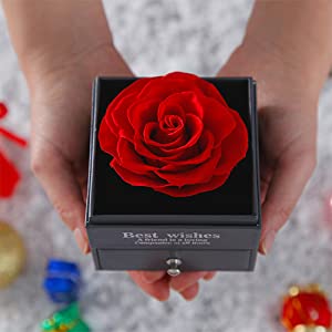 U UQUI Preserved Real Rose with I Love You Heart Necklace 100 Languages