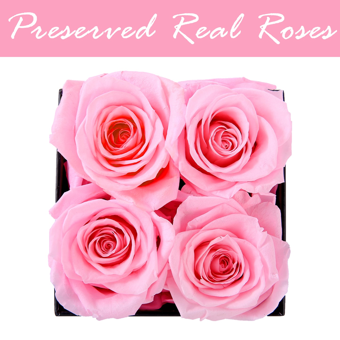 U UQUI 4 Roses Flowers Box And Necklace