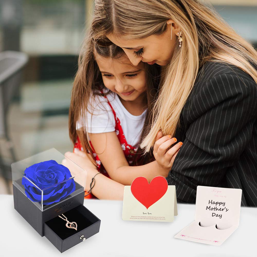 U UQUI Preserved Real Rose with I Love You Heart Necklace 100 Languages