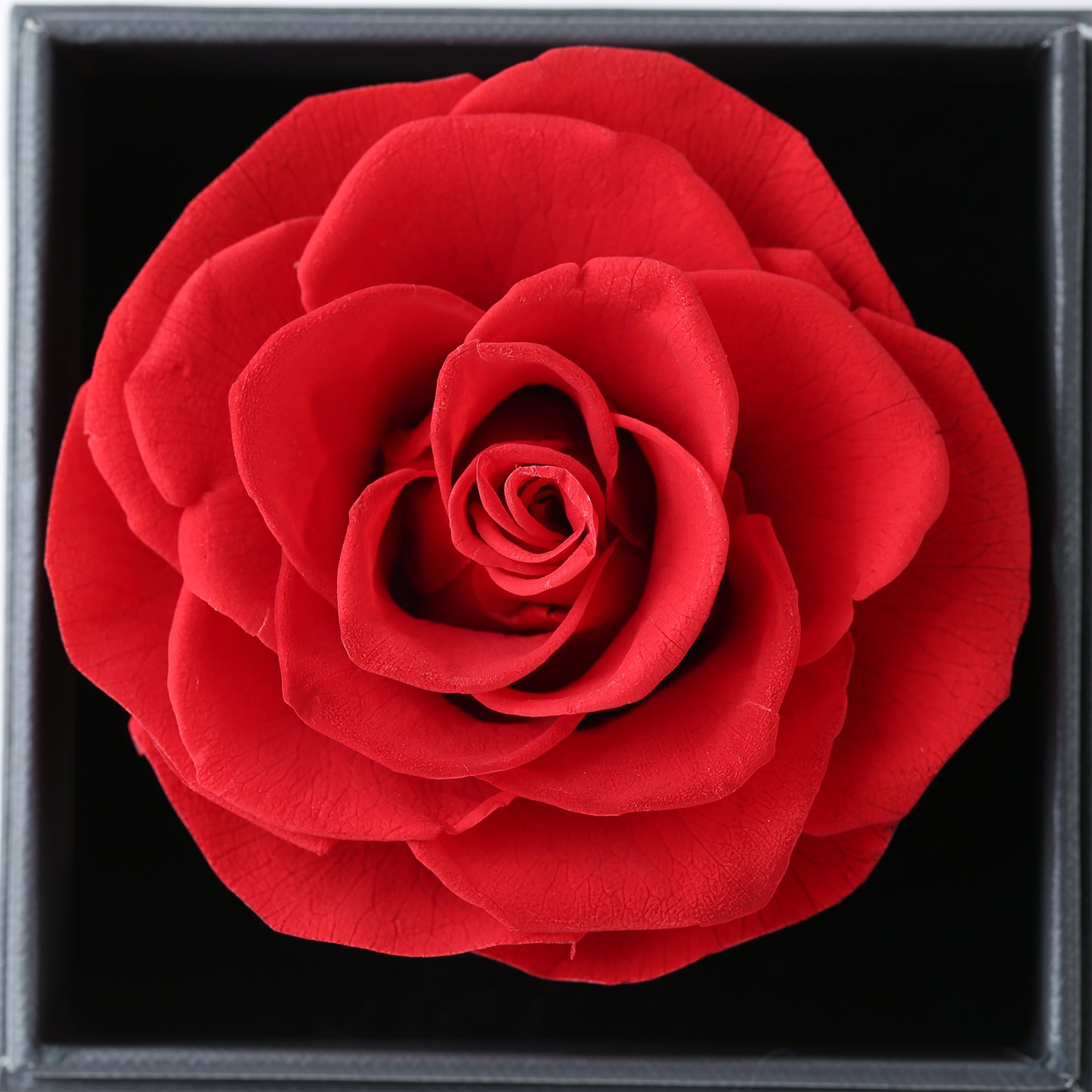 U UQUI Preserved Real Rose with I Love You Heart Necklace 100 Languages